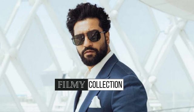 Vicky Kaushal Hits And Flops Movies List And Box Office Analysis