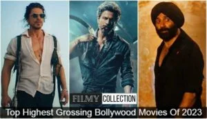 Top Highest Grossing Bollywood Films Of 2023