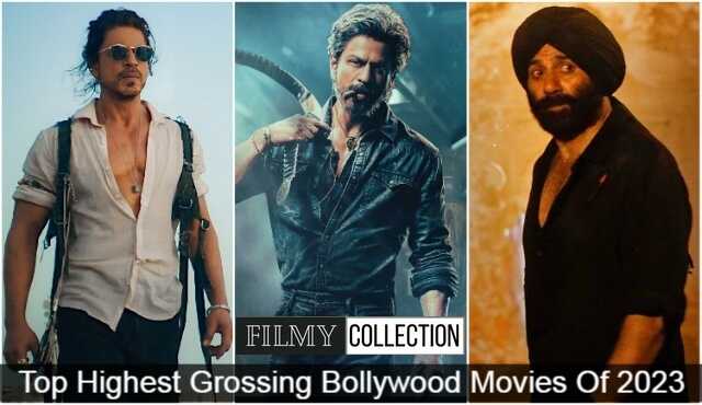 Top Highest Grossing Bollywood Films Of 2023