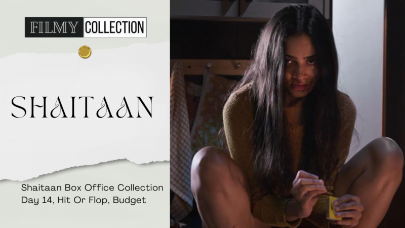 Shaitaan Box Office Collection Day 14, Hit Or Flop, Budget